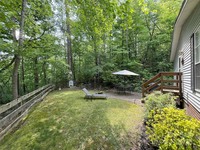 243 Buffalo Creek Rd, Lake Lure, NC 28746 - view of yard