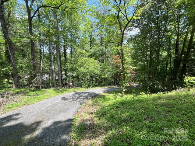 243 Buffalo Creek Rd, Lake Lure, NC 28746 - view of street featuring a view of trees