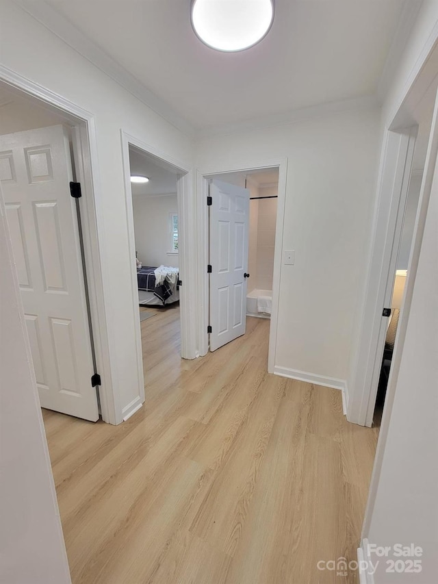 hallway featuring crown molding and light wood-type flooring