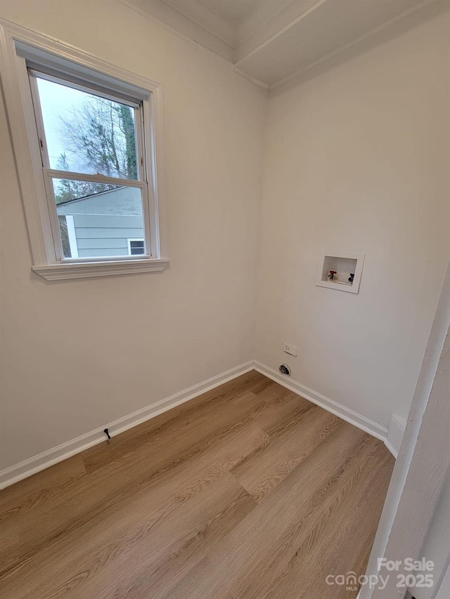 clothes washing area featuring hookup for a washing machine and light hardwood / wood-style flooring