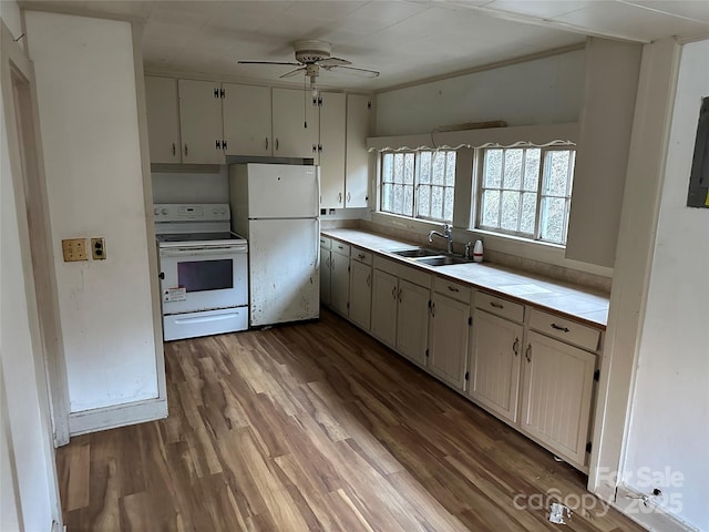 kitchen with sink, white appliances, tile counters, ceiling fan, and hardwood / wood-style floors