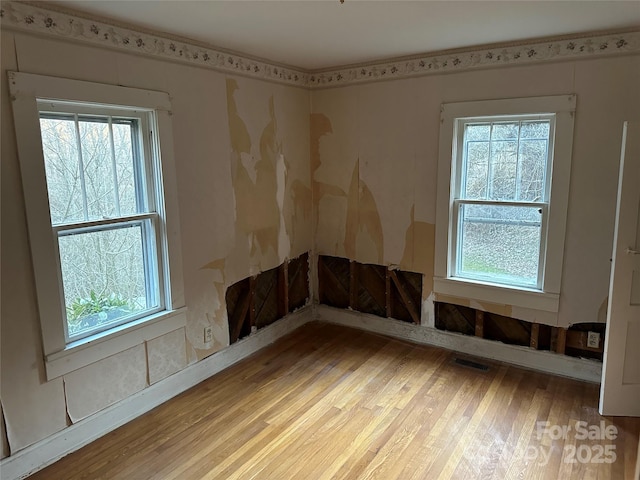 unfurnished room featuring a wealth of natural light and light hardwood / wood-style flooring