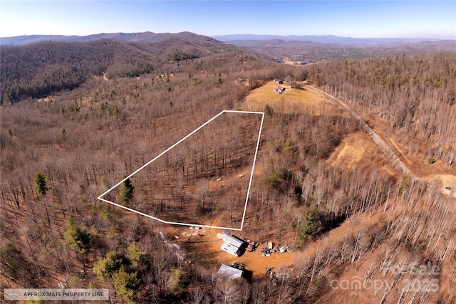 Listing photo 3 for 000 Pinnacle Mountain Rd, Zirconia NC 28790