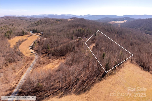 000 Pinnacle Mountain Rd, Zirconia NC, 28790 land for sale