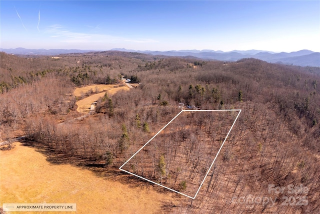 Listing photo 2 for 000 Pinnacle Mountain Rd, Zirconia NC 28790