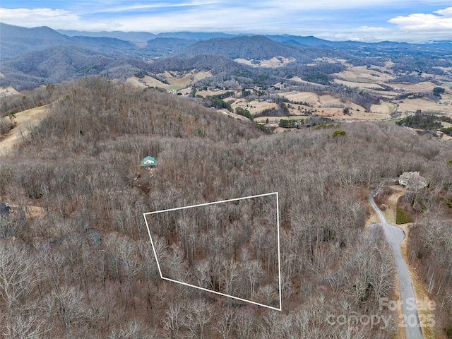 19 Mossy Rock Ln Unit 76, Leicester NC, 28748 land for sale