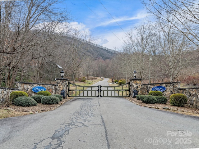 Listing photo 3 for 19 Mossy Rock Ln Unit 76, Leicester NC 28748