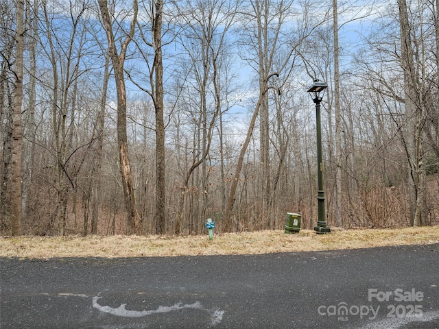 19 Mossy Rock Ln Unit 76, Leicester, NC 28748
