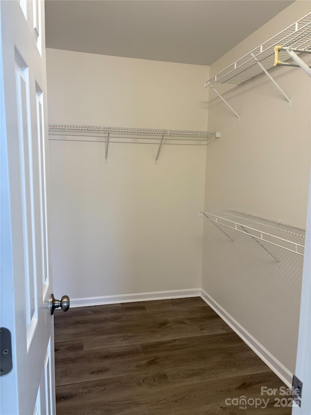 walk in closet with dark wood-style floors