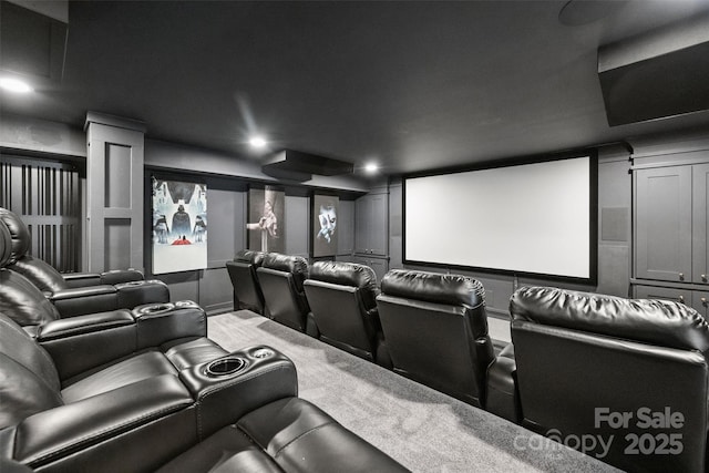 view of cinema room