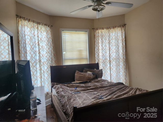 979 W Chapel Rd, Asheville, NC 28803 - bedroom featuring wood finished floors and ceiling fan