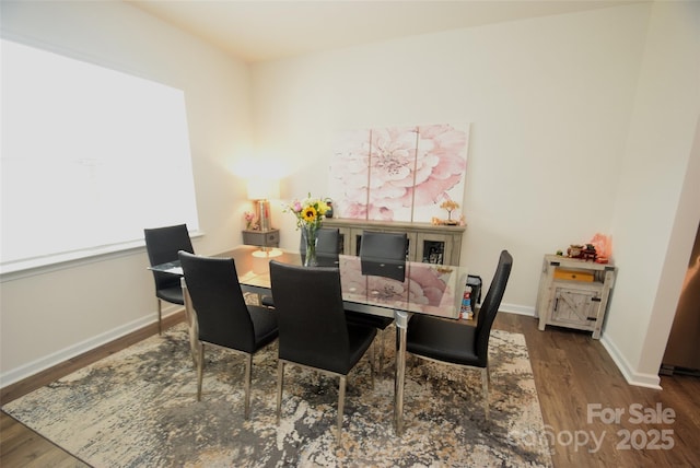 dining room featuring wood-type flooring