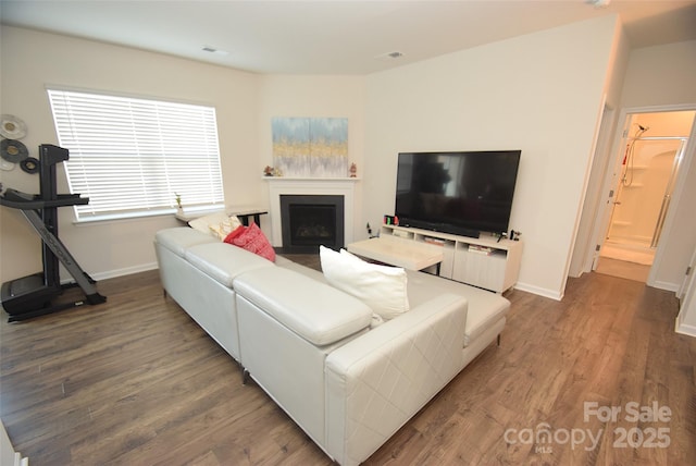 living room with hardwood / wood-style flooring