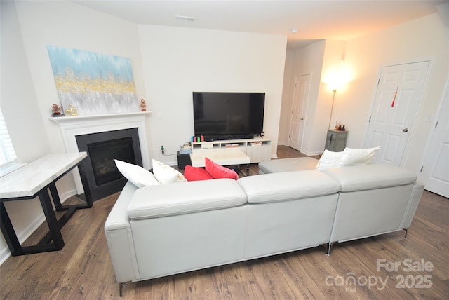 living room with hardwood / wood-style flooring