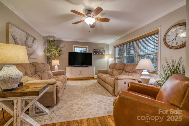 living room featuring crown molding, ceiling fan, and light wood-type flooring