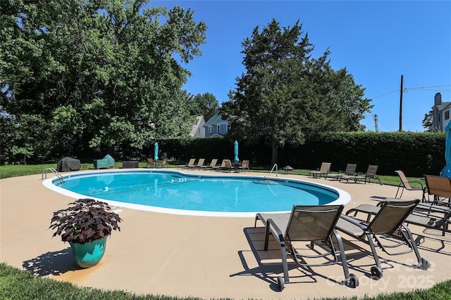 view of pool with a patio