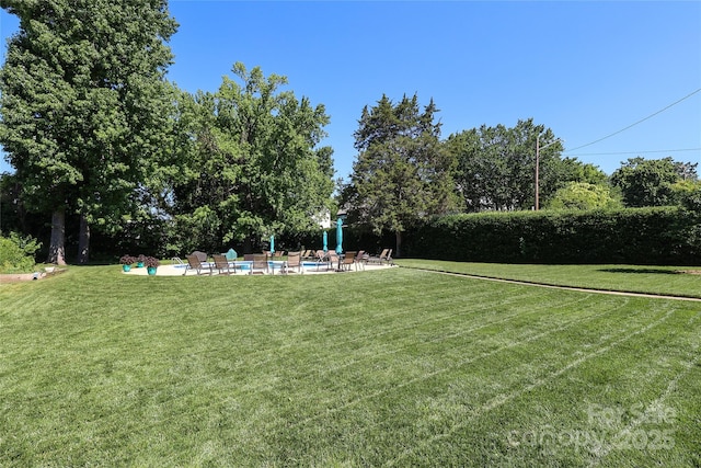 view of yard featuring a patio