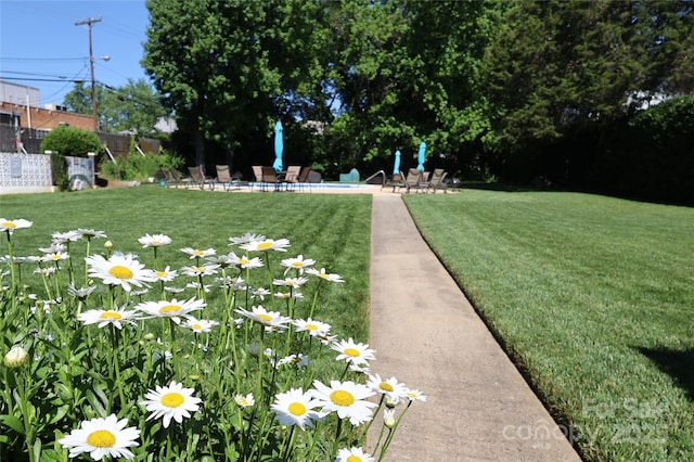 view of community featuring a swimming pool, a lawn, and a patio