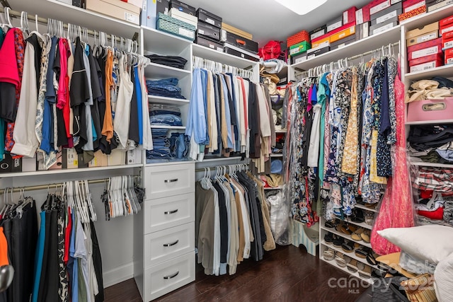 spacious closet with dark wood-type flooring