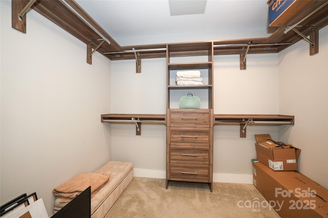 walk in closet featuring light colored carpet