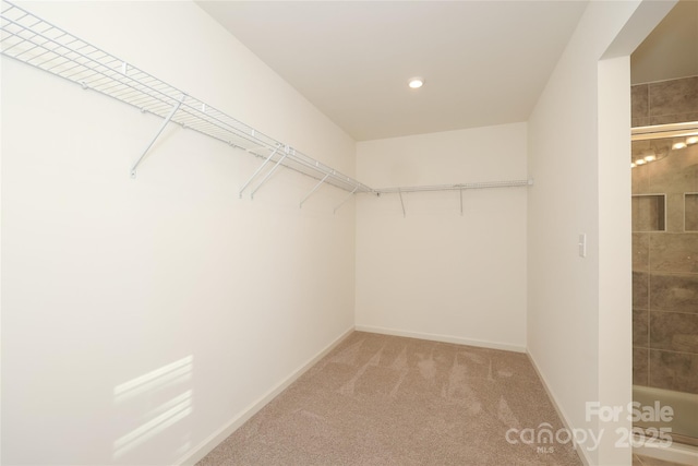 spacious closet featuring light colored carpet