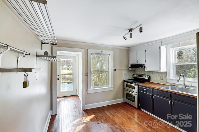 kitchen featuring dark cabinetry, backsplash, white cabinetry, a sink, and double oven range