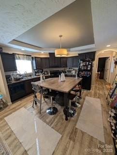 dining area featuring a tray ceiling and light hardwood / wood-style flooring