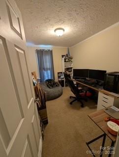 office with carpet floors and a textured ceiling