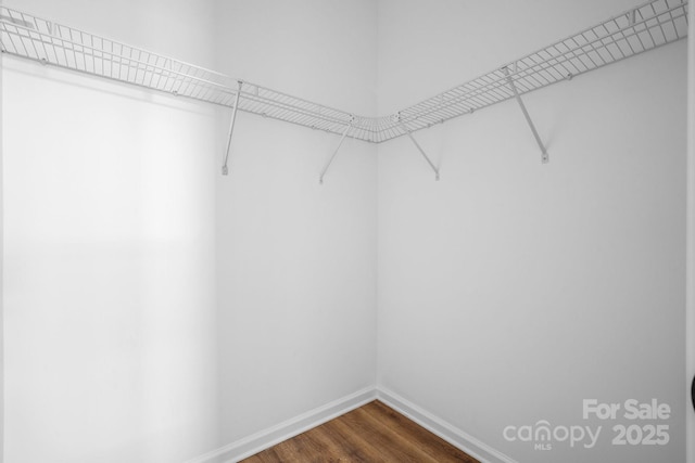 spacious closet with dark hardwood / wood-style flooring