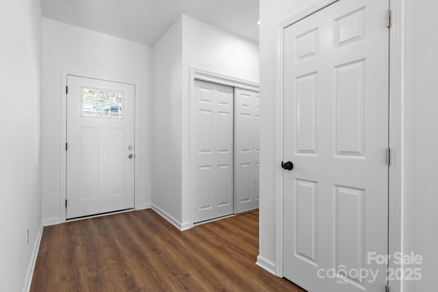 entrance foyer featuring dark hardwood / wood-style floors