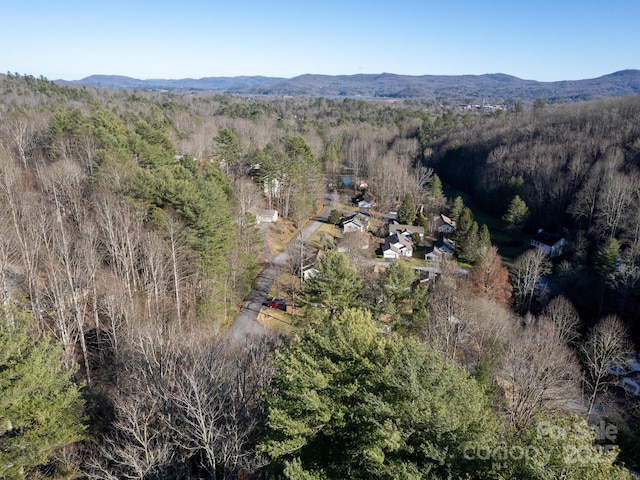 bird's eye view featuring a mountain view