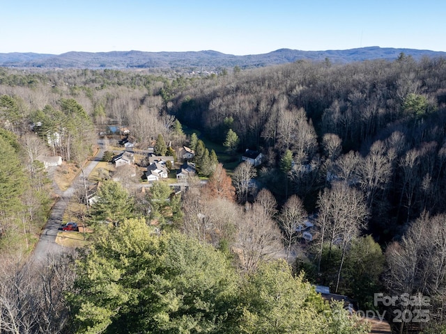 birds eye view of property with a mountain view