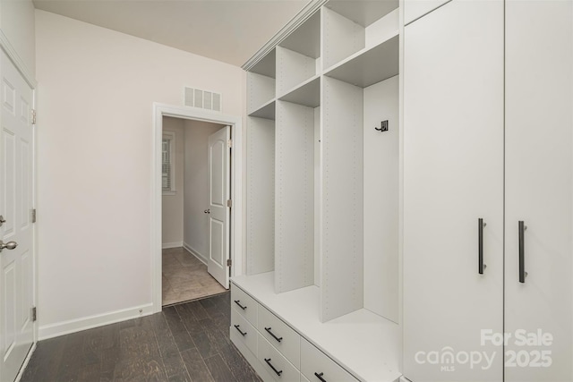 mudroom with dark wood-type flooring