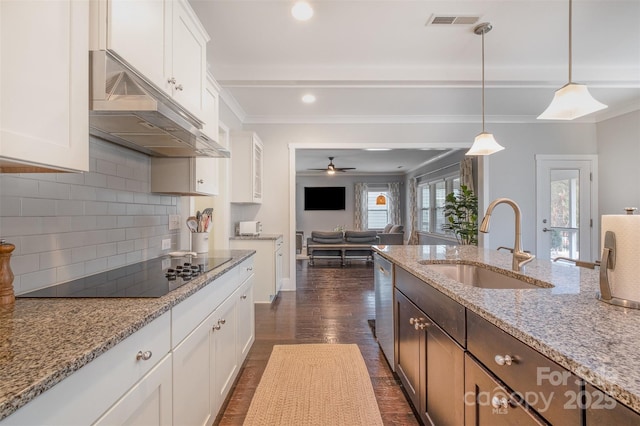 2201 Bluebell Way, Tega Cay, SC 29708 - kitchen featuring black electric cooktop, under cabinet range hood, a sink, stainless steel dishwasher, and white cabinets