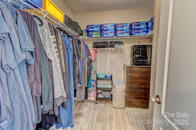 walk in closet featuring hardwood / wood-style floors