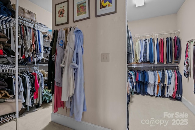 walk in closet with carpet flooring