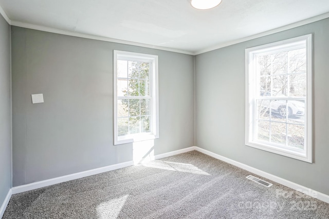 spare room featuring carpet floors and ornamental molding