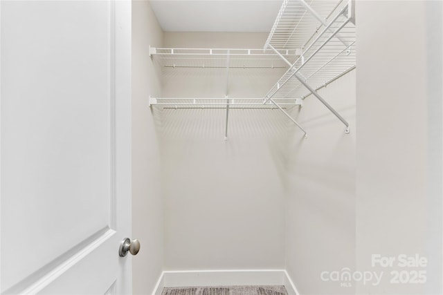 view of spacious closet