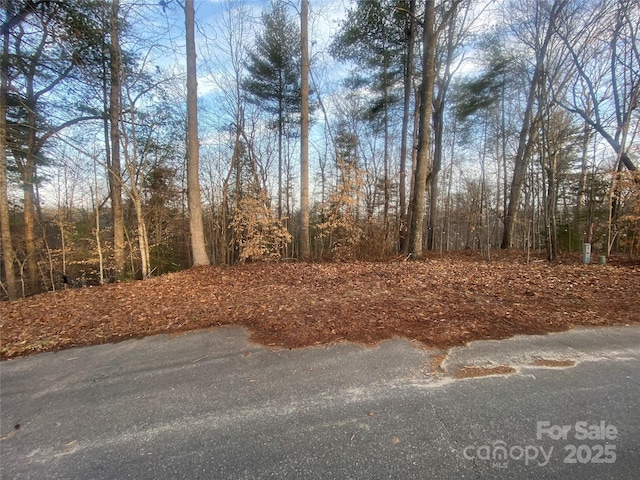 211 Horse Shoe Ln, Morganton NC, 28655 land for sale