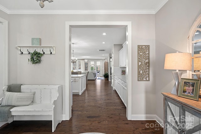 hallway with crown molding and dark hardwood / wood-style floors