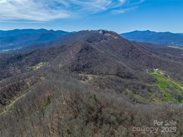 Listing photo 3 for 999 Cracker Trl, Clyde NC 28721