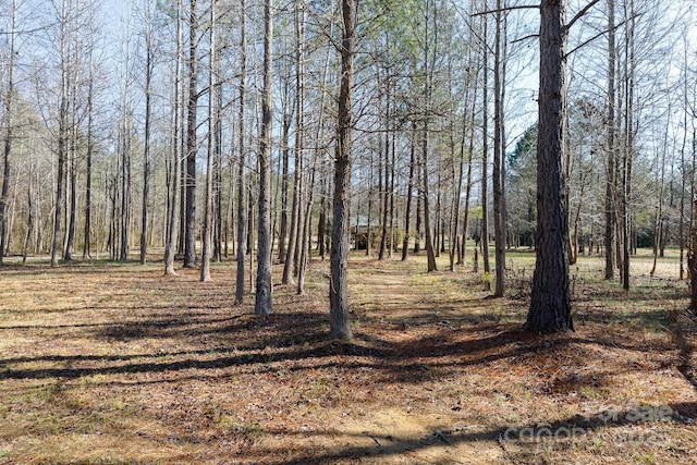 view of local wilderness