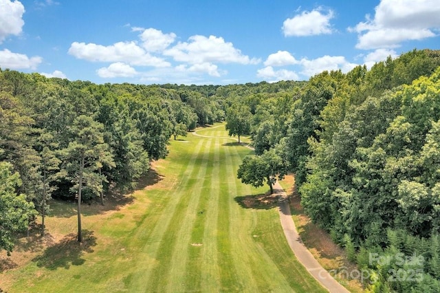 aerial view with a forest view