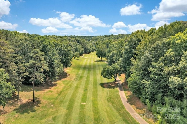 1077 Gauguin Ln, Tega Cay, SC 29708 - bird's eye view of a local golf course