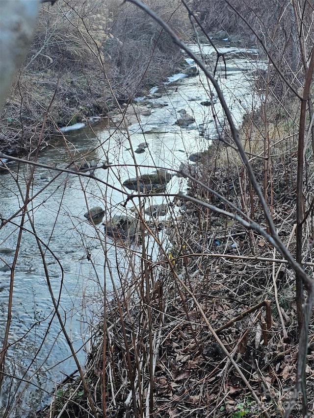 view of local wilderness with a water view