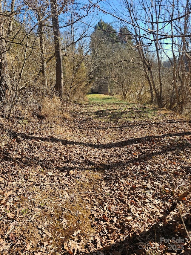 view of local wilderness