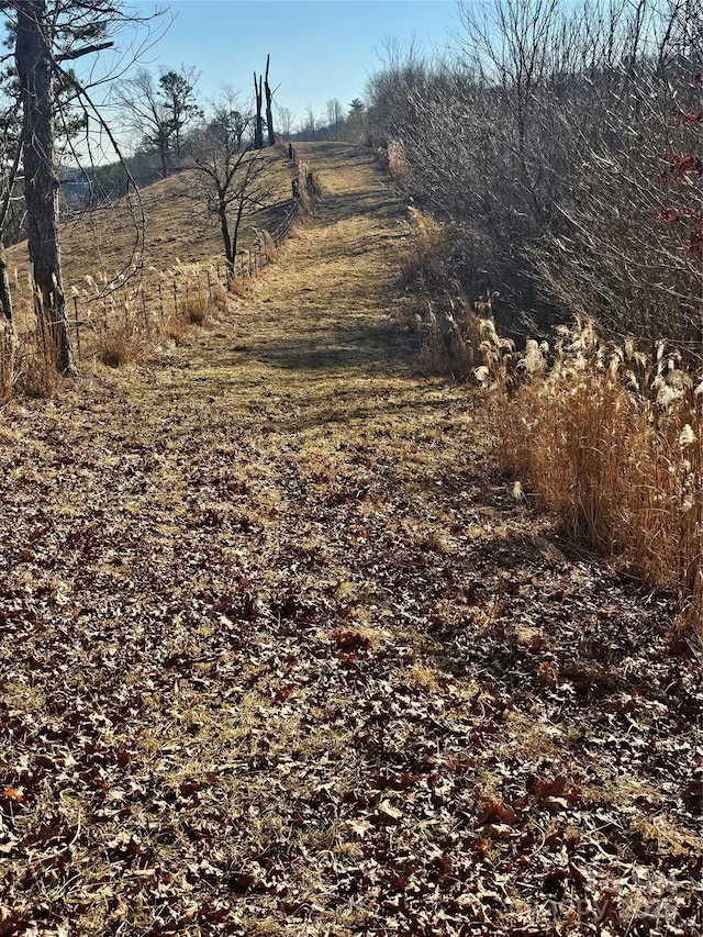 view of local wilderness featuring a rural view