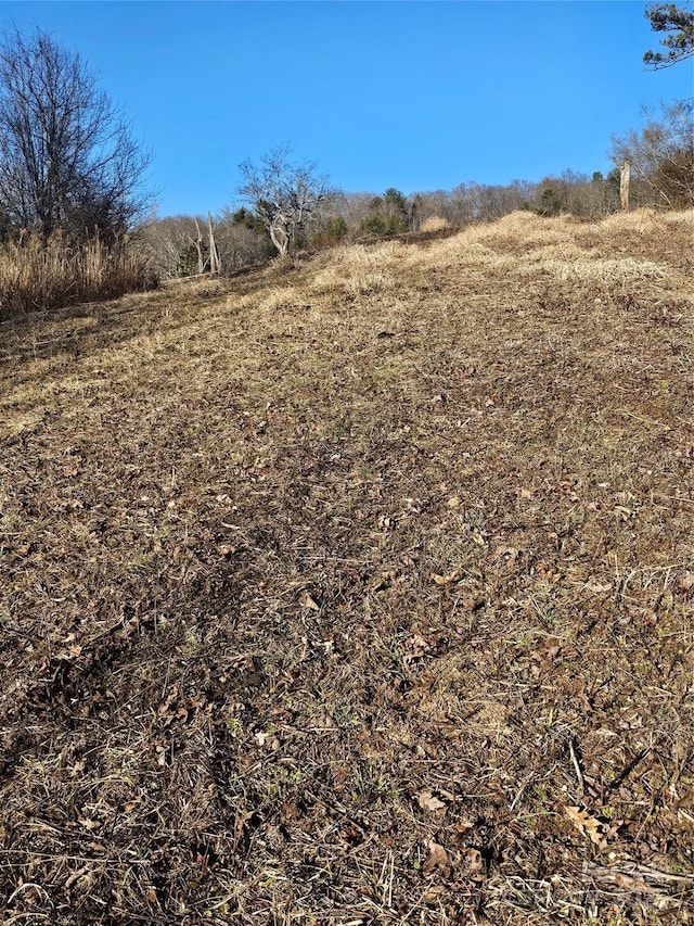 view of landscape featuring a rural view