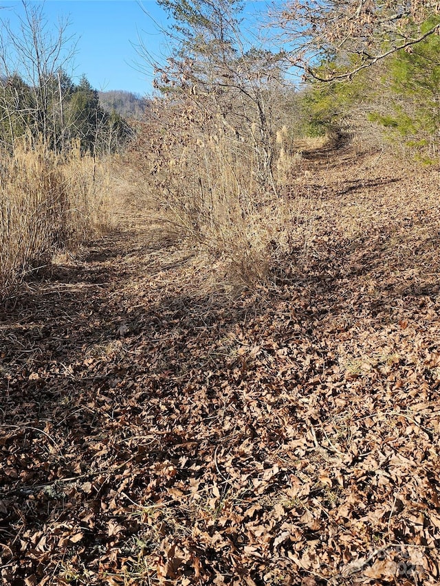 view of nature