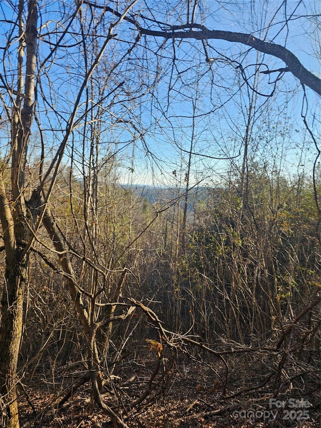 view of landscape